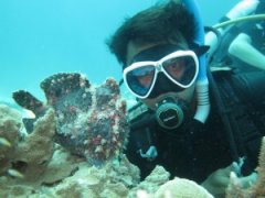 Ǳˮר – Ǳˮϱ ICE