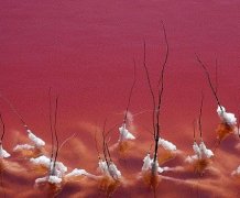 һƬ���������������������ú���